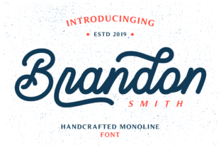 Brandon Smith Typeface Review for Boutique Branding