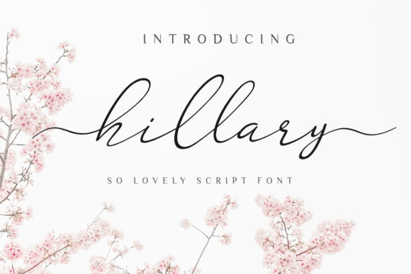 Hillary Typeface Review: Organic Script Fonts for Modern Campaigns