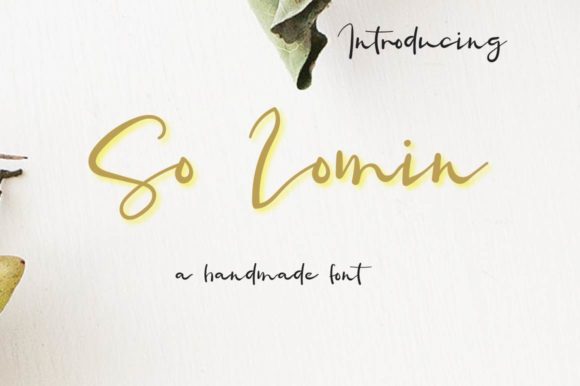 So Lomin Handwritten Font Review for Editorial Design