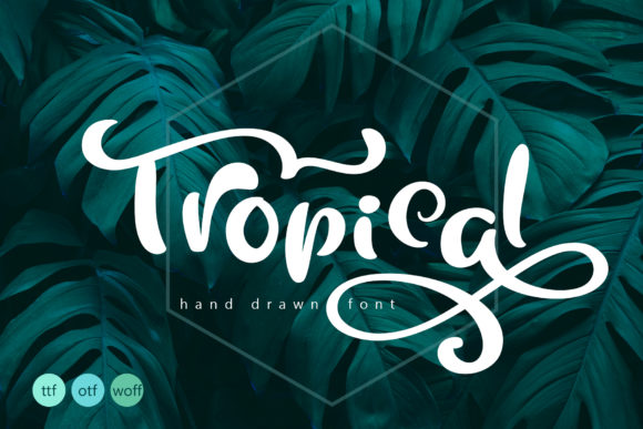 Tropical Typeface Review: Handmade Calligraphy for Editorial Design